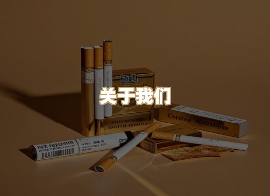 关于逸龙集烟网